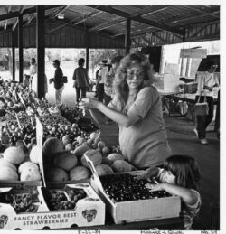 Kalamazoo Farmer's Market in 1984/ Photo by Michael Gluck